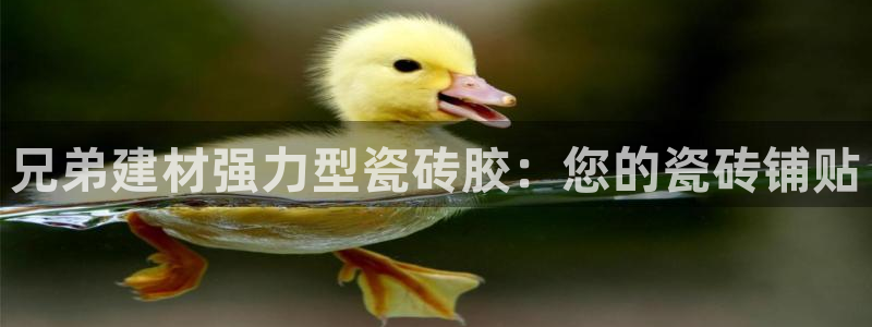 杏鑫平台靠谱吗
