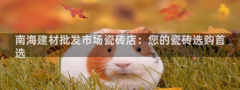 杏鑫娱乐平台测速怎么样