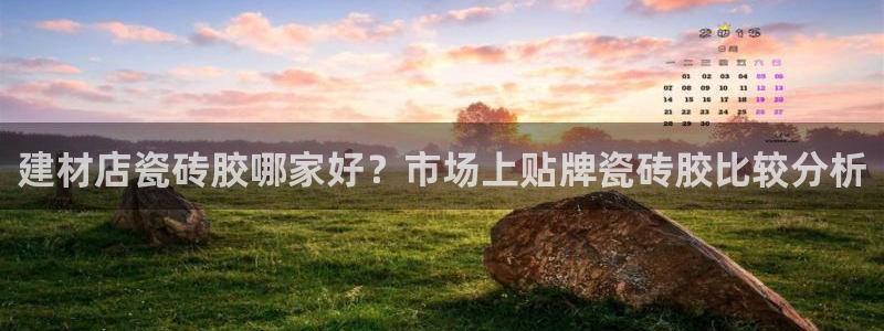杏鑫官网最新信息