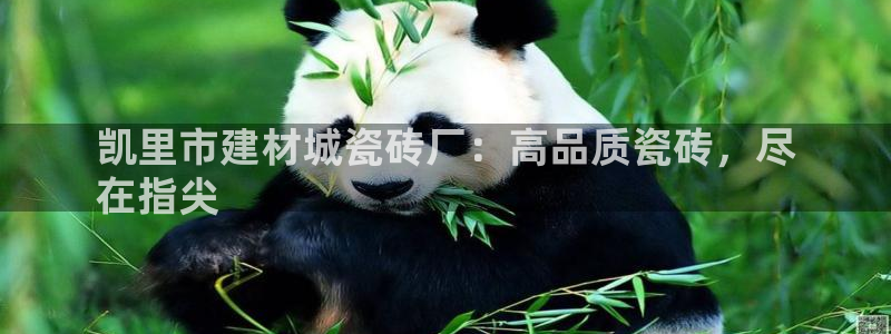 杏鑫娱乐是真的吗