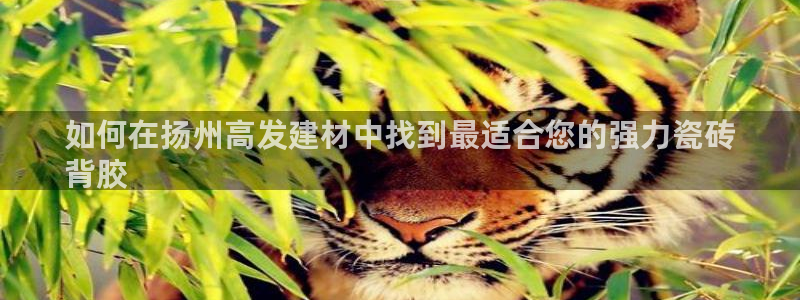杏鑫娱乐官方网站客户端下载