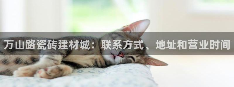 杏鑫平台登陆