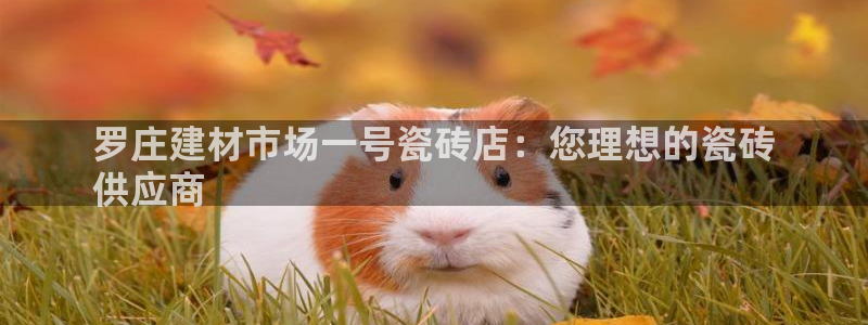 杏鑫平台招商怎么样啊