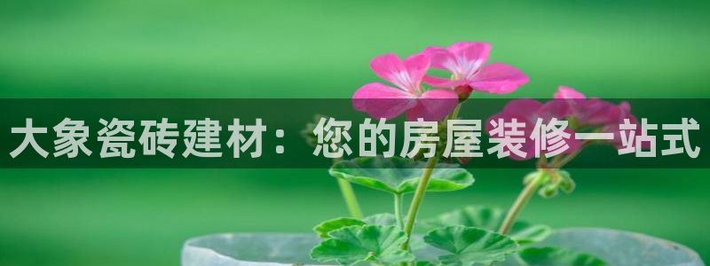 杏鑫平台是黑平台吗知乎
