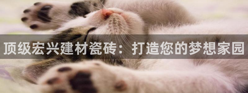 杏鑫平台怎么样黑钱吗是真的吗还是假的