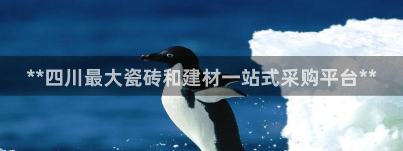 杏鑫平台代理怎么样