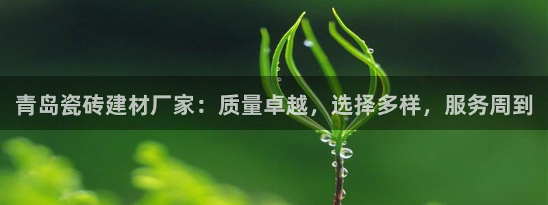 杏鑫3主管