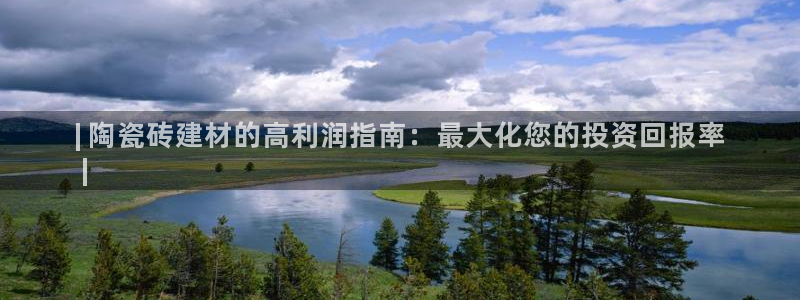 杏鑫招商总代