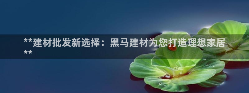 杏鑫平台提供