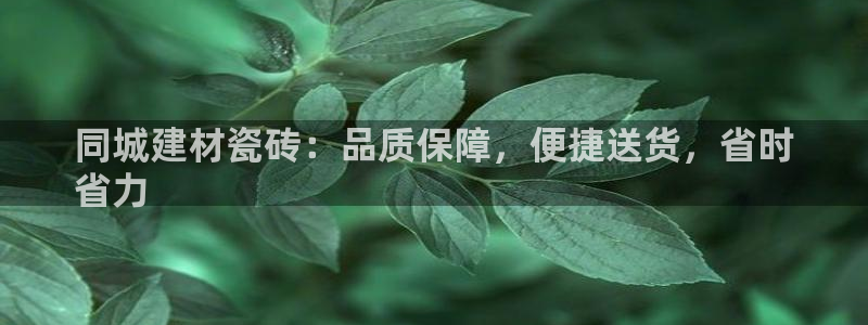 杏鑫平台是黑平台吗