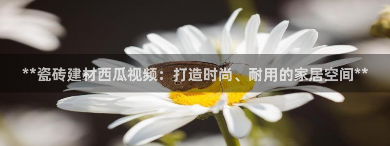 杏鑫娱乐是合法的吗是真的吗