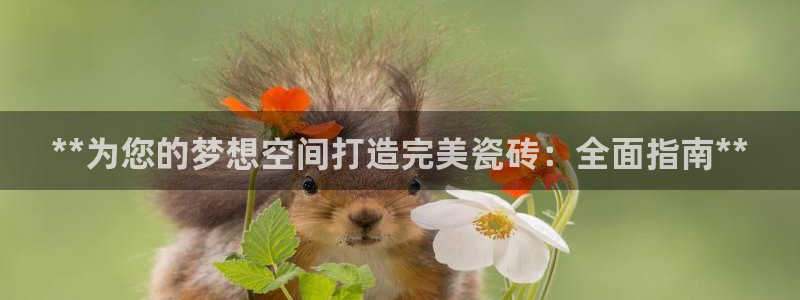 杏鑫手机客户端怎么下载