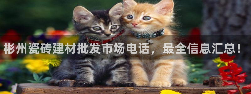 杏鑫平台平台娱乐怎么样
