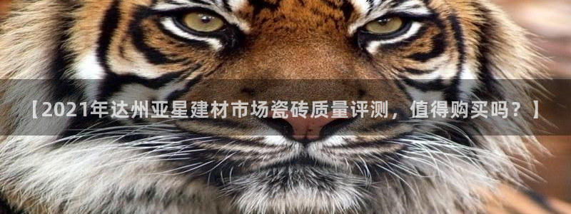 杏鑫官网