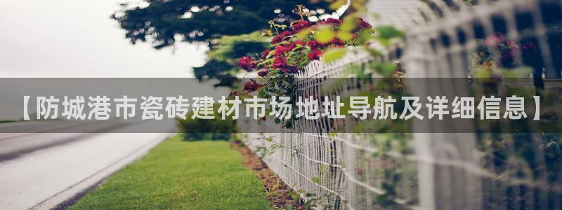 杏鑫手机客户端