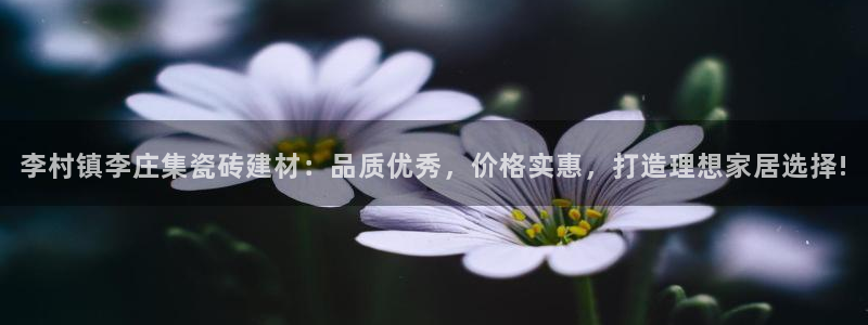 杏鑫平台怎么样黑钱吗知乎推荐