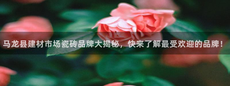 杏鑫官网最新信息新闻报道