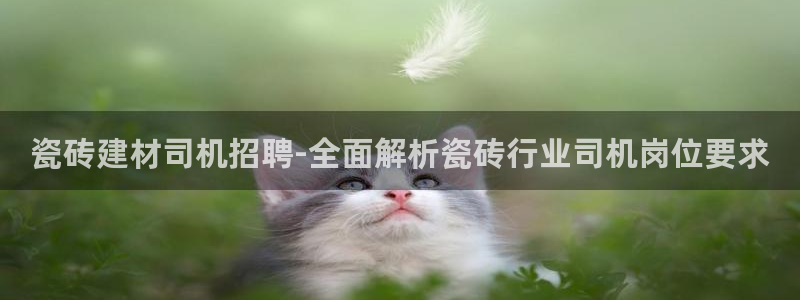杏鑫平台是黑平台吗是真的吗
