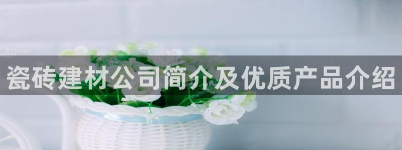 杏鑫娱乐多少年了