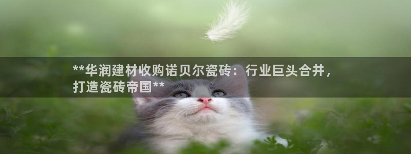 杏鑫平台招商电话