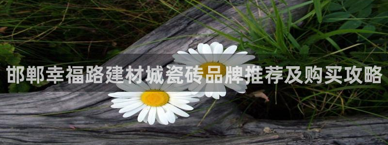 杏鑫娱乐负责人