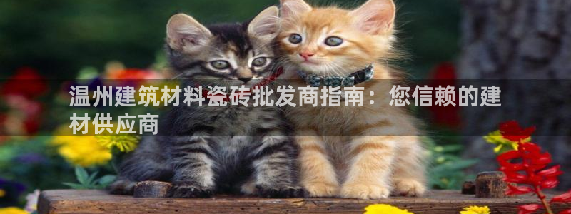 杏鑫平台正规吗是真的吗