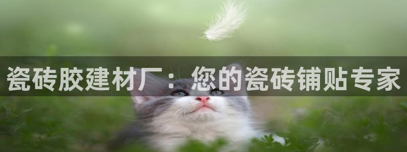 杏鑫平台正规吗是真的吗