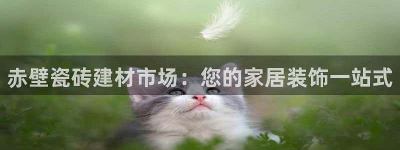 杏鑫平台广7O777
