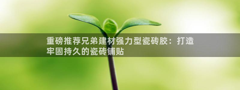 杏鑫平台代理