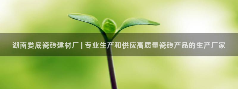 杏鑫平台线路测速
