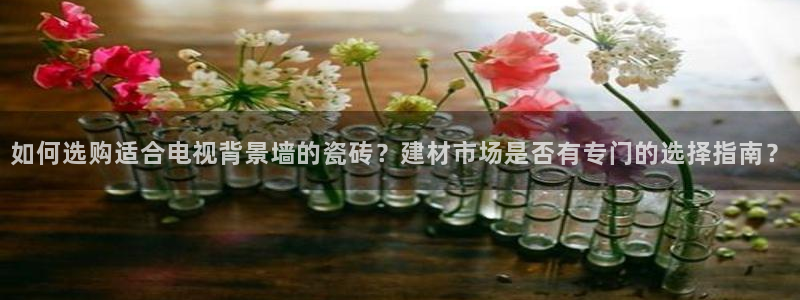 杏鑫平台招商电话号码是多少
