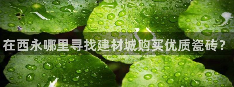 杏鑫平台代理怎么样可靠吗