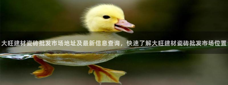 杏鑫娱乐负责人