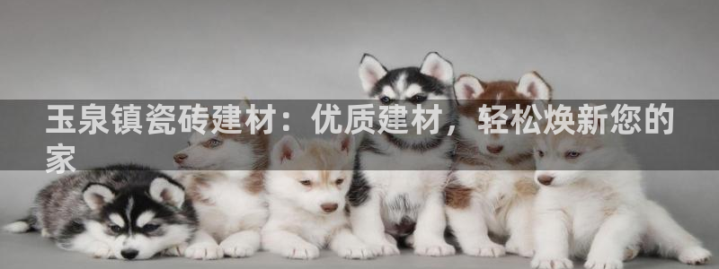 杏鑫平台念7O777
