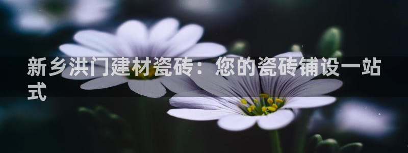 杏鑫平台代理