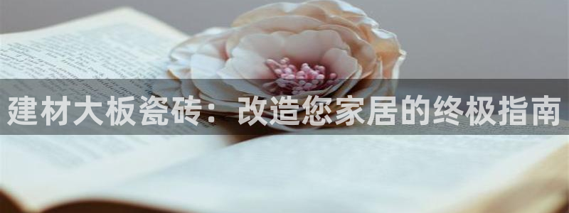 杏鑫平台代理怎么做