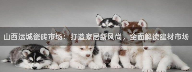 杏鑫平台代理怎么做赚钱