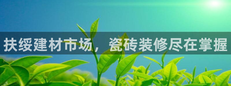 杏鑫手机客户端怎么下载