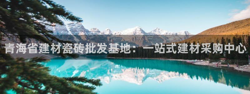 杏鑫平台测速