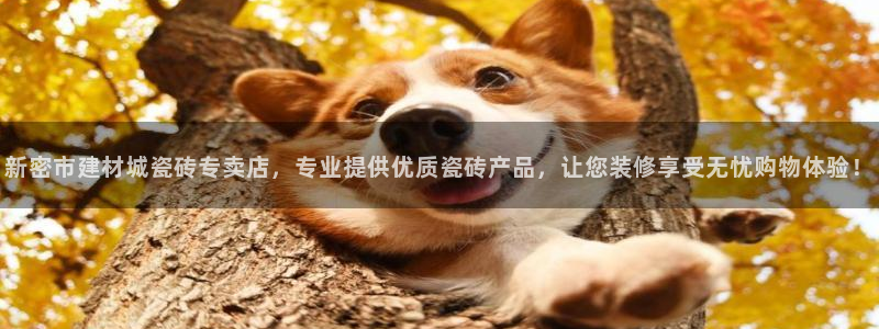 杏鑫平台代理怎么样可靠吗