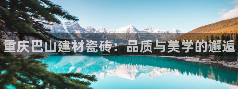 杏鑫娱乐怎么样