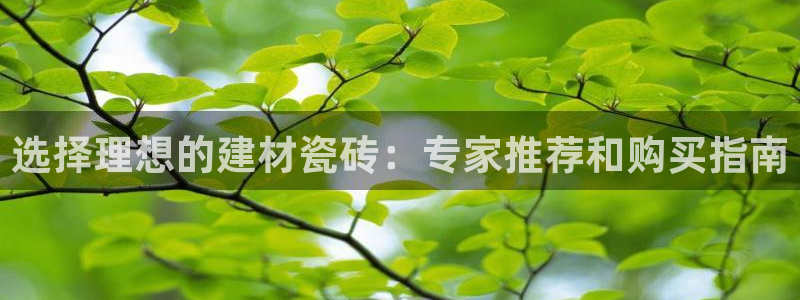杏鑫娱乐测速