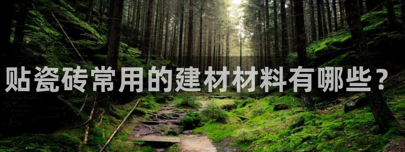 杏鑫平台下载安装
