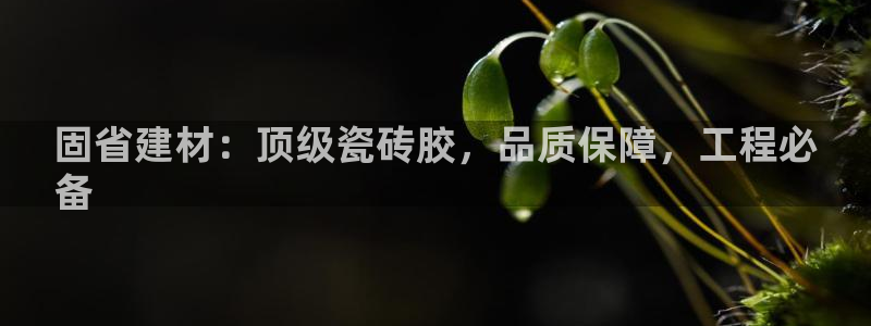 杏鑫平台直属哪个公司