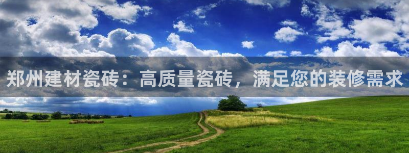杏鑫3主管