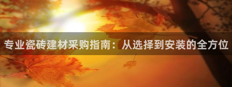 杏鑫官方平台怎么样