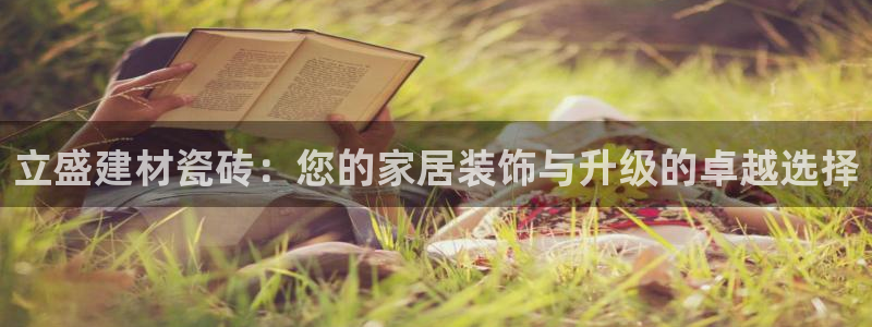 杏鑫娱乐开发团队