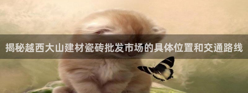杏鑫官网最新信息新闻报道