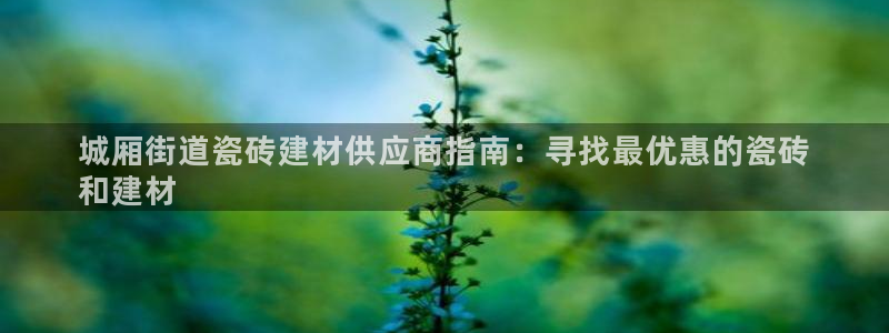 杏鑫有亏损返点吗