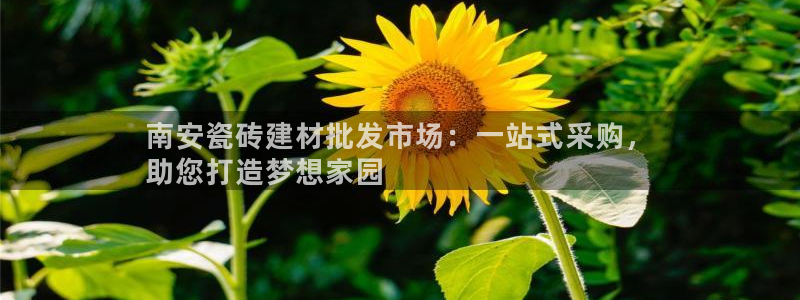 杏鑫娱乐官方网站客户端
